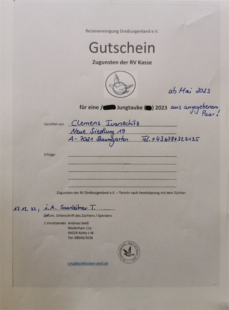 Brieftauben Auktion De Clemens Ivanschitz Gutschein Jungtaube