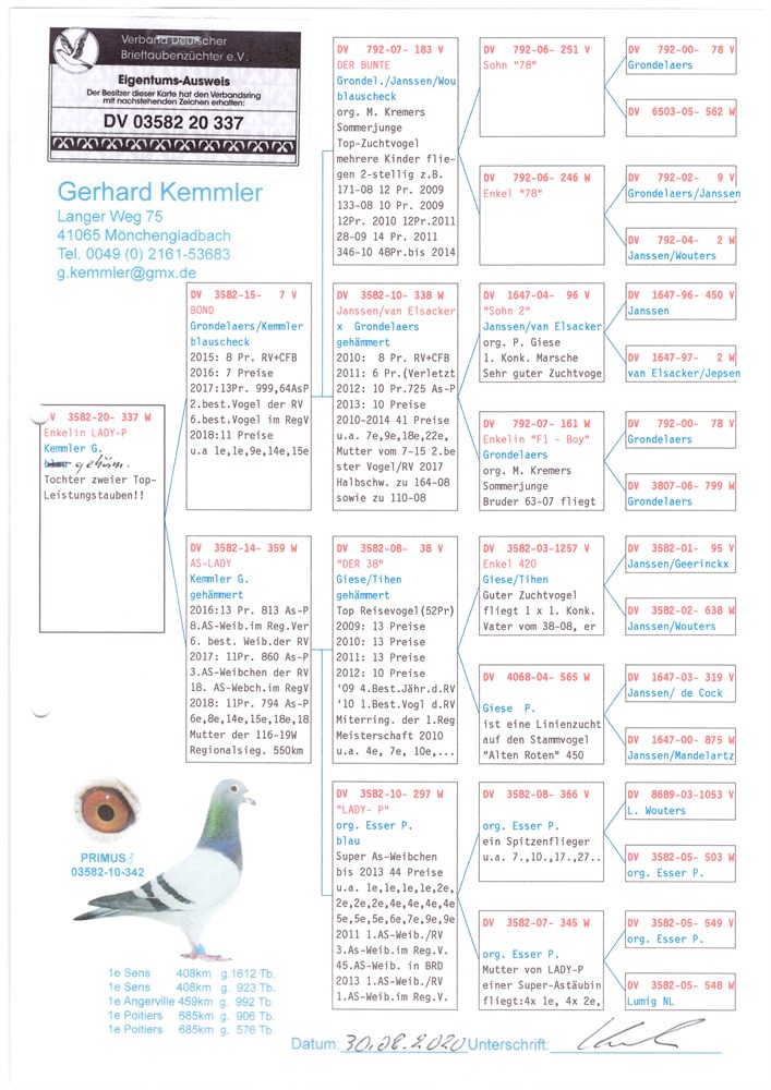 Brieftauben Auktion De 20 337 W Orig Gerhard Kemmler Enkelin Lady P