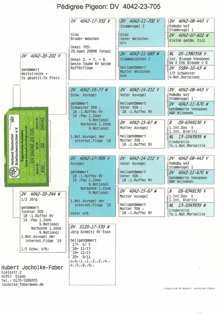 Brieftauben Auktion De Taube Dv Hubert Jacholke Faber