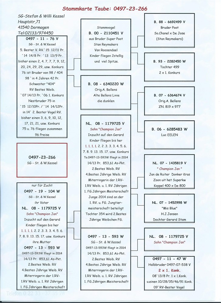 Brieftauben Auktion De Pos Schwarz V Topreisevogel X To