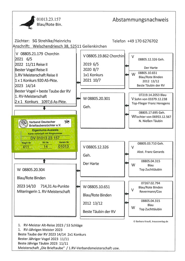 Brieftauben Auktion De Pos Sg Strehlke Heinrichs