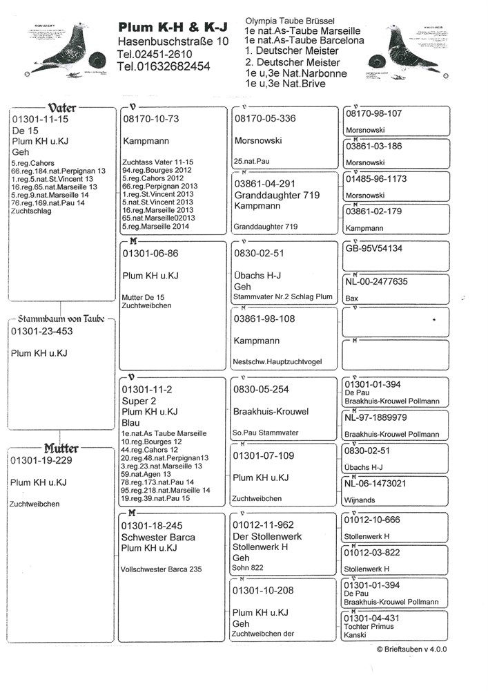 Brieftauben Auktion De Pos Sg Plum K H Und K J