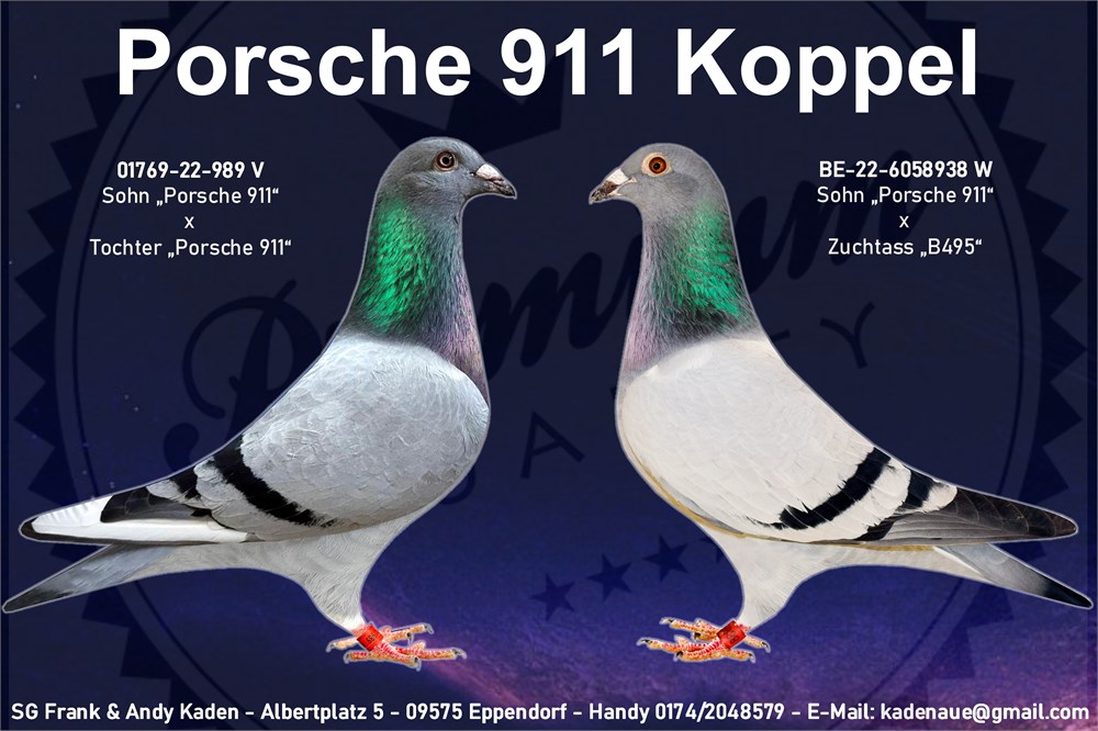 Brieftauben Auktion De 556 W Doppelenkel Porsche 911 X Enkeltochter