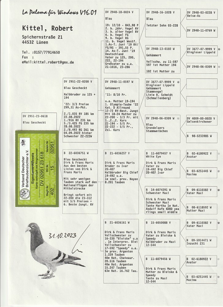 Brieftauben Auktion De Pos Robert Kittel Z Chter Der