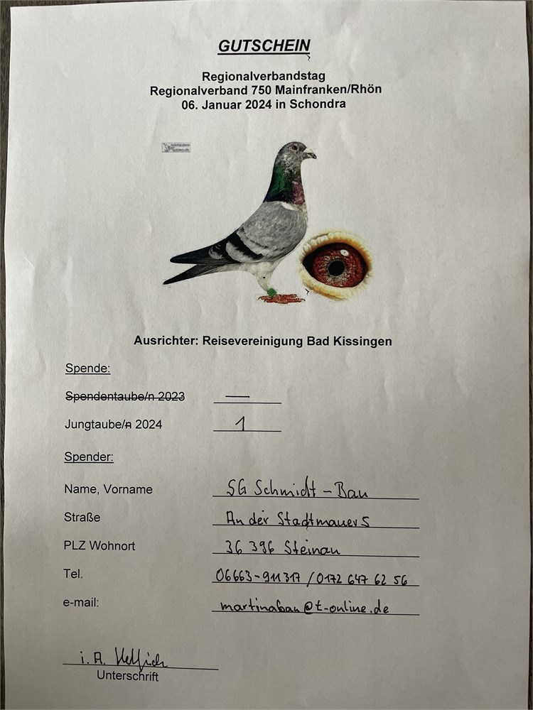 Brieftauben Auktion De Pos Sg Schmidt Bau Jungtaube Spitze