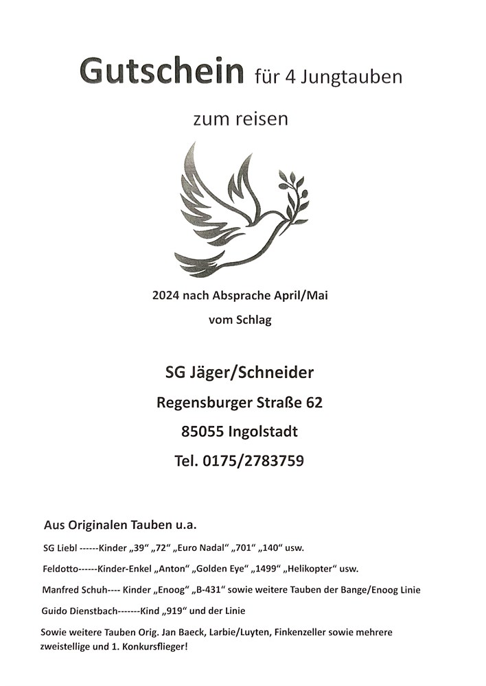 Brieftauben Auktion De Jungtauben Zum Reisen Sg J Ger Schneider