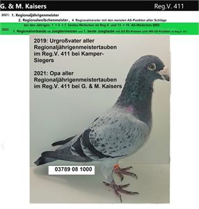 Objekt Bild