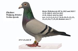 Objekt Bild