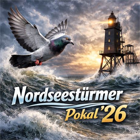 Nordseestürmer Sporttauben - Tauben abzugeben