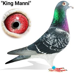 Objekt Bild