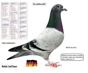 Objekt Bild