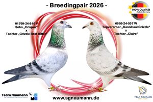 Objekt Bild