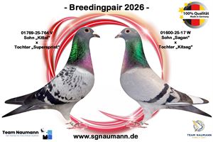 Objekt Bild