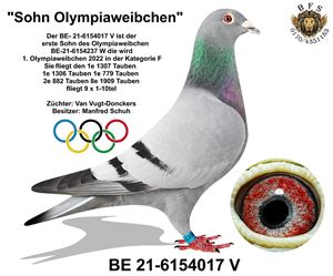 Objekt Bild