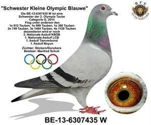 Objekt Bild