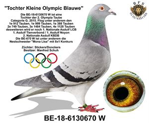 Objekt Bild