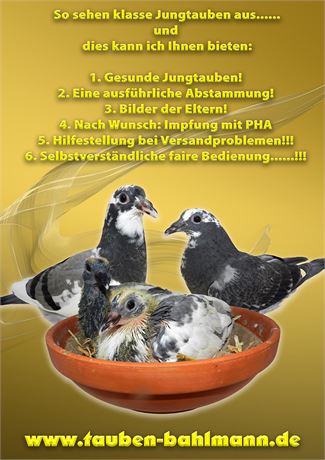 Paarungsliste 2026......!