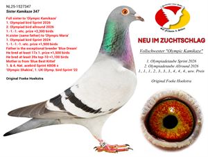 Objekt Bild