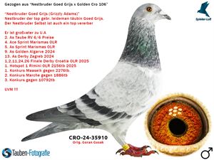 Objekt Bild