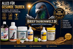 Objekt Bild
