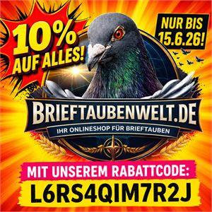 Objekt Bild