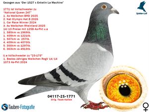 Objekt Bild