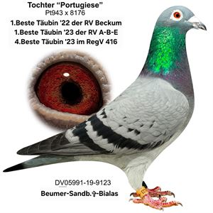 Objekt Bild