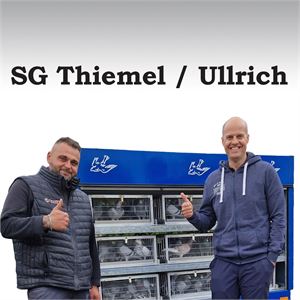 Objekt Bild