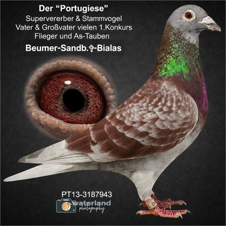 Beumer-Sandbothe✞-Bialas