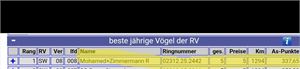 Objekt Bild