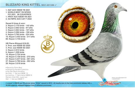2 KINDER W und V  ( Blizzard King Kittel )Original Flanders Collection