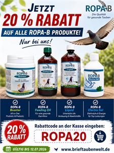 Objekt Bild