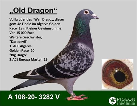 "Old Dragon", ein Sohn "Dracula" von Clemens Ivanschitz