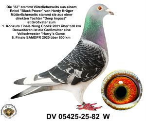 Objekt Bild