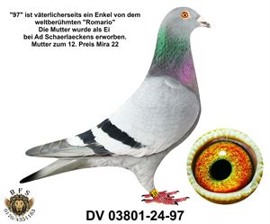 Objekt Bild