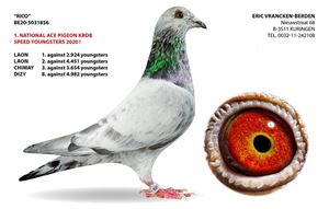 Objekt Bild