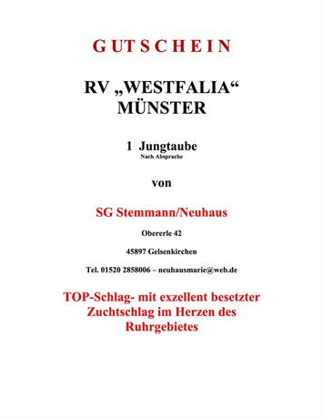 Gutschein 1 Jungtaube SG Stemmann/Neuhaus
