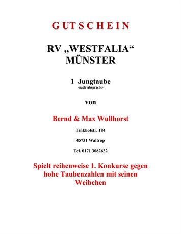 Gutschein 1 Jungtaube Bernd Wullhorst