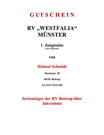 Gutschein 1 Jungtaube Helmut Schmidt