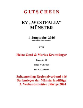 Gutschein 1 Jungtaube H.G. & M. Krumtünger vom Zuchtschlag Sept. 2026