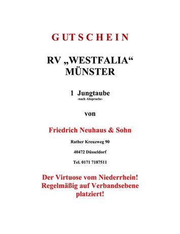 Gutschein 1 Jungtaube Friedrich Neuhaus & Sohn