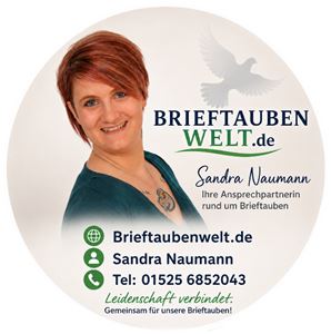 Objekt Bild