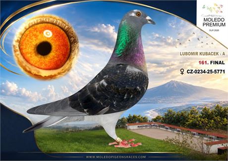 41 CZ-0234-5771 Lubomir Kubacek 161. Konkurs Finale 470 km