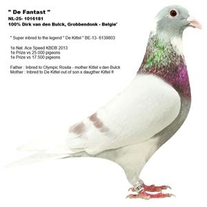 Objekt Bild